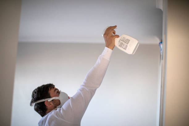 Best Toxic Mold Removal  in Virginia Beach, VA