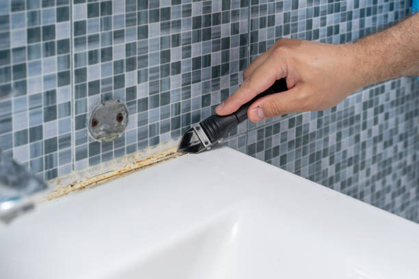 Best Emergency Mold Removal  in Virginia Beach, VA