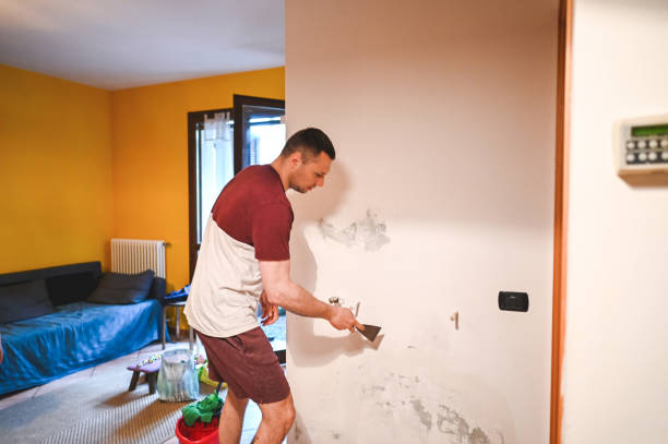 Best Home Mold Removal  in Virginia Beach, VA
